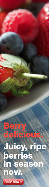 berries skyscraper web banner