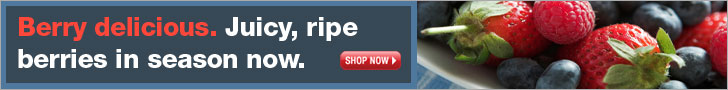 berries horizontal web banner