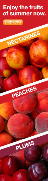 stone fruit skyscraper web banner
