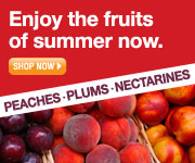 stone fruit thumbnail web banner